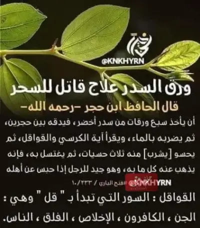 فوائد شرب السدر للمسحور