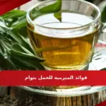 فوائد الميرمية للحمل بتوام
