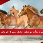 سورة بدأت بوصف الخيل من 8 حروف