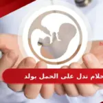 احلام تدل على الحمل بولد
