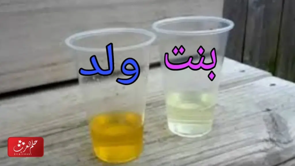 اعراض الشهر الخامس من الحمل بولد