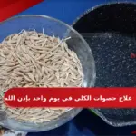 علاج حصوات الكلى في يوم واحد بإذن الله