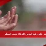 تفسير حلم رفع اليدين للدعاء تحت المطر