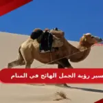 تفسير رؤية الجمل الهائج في المنام