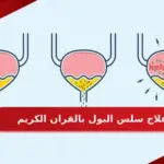 علاج سلس البول بالقران الكريم