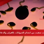 حالات شفيت من انعدام الحيوانات بالقران والدعاء