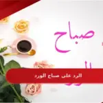 الرد على صباح الورد اذا احد قالي صباح الورد وش اقول