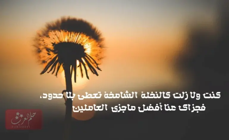 كلمات مدح لشخص مبدع