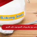 تجربتي مع بيكربونات الصوديوم على الريق 