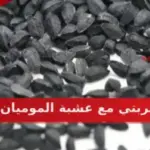 تجربتي مع عشبة الموميان وطرق استخدامها