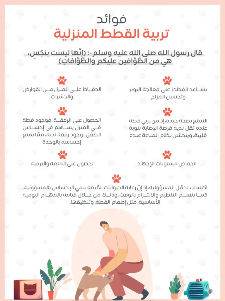 كثرة القطط حول المنزل على ماذا تدل؟