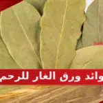 فوائد ورق الغار للرحم