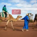 الثويني وش يرجع .. قبيلة الثويني من اي شمر