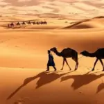 المهيدب وش يرجعون ، شجرة عائلة المهيدب