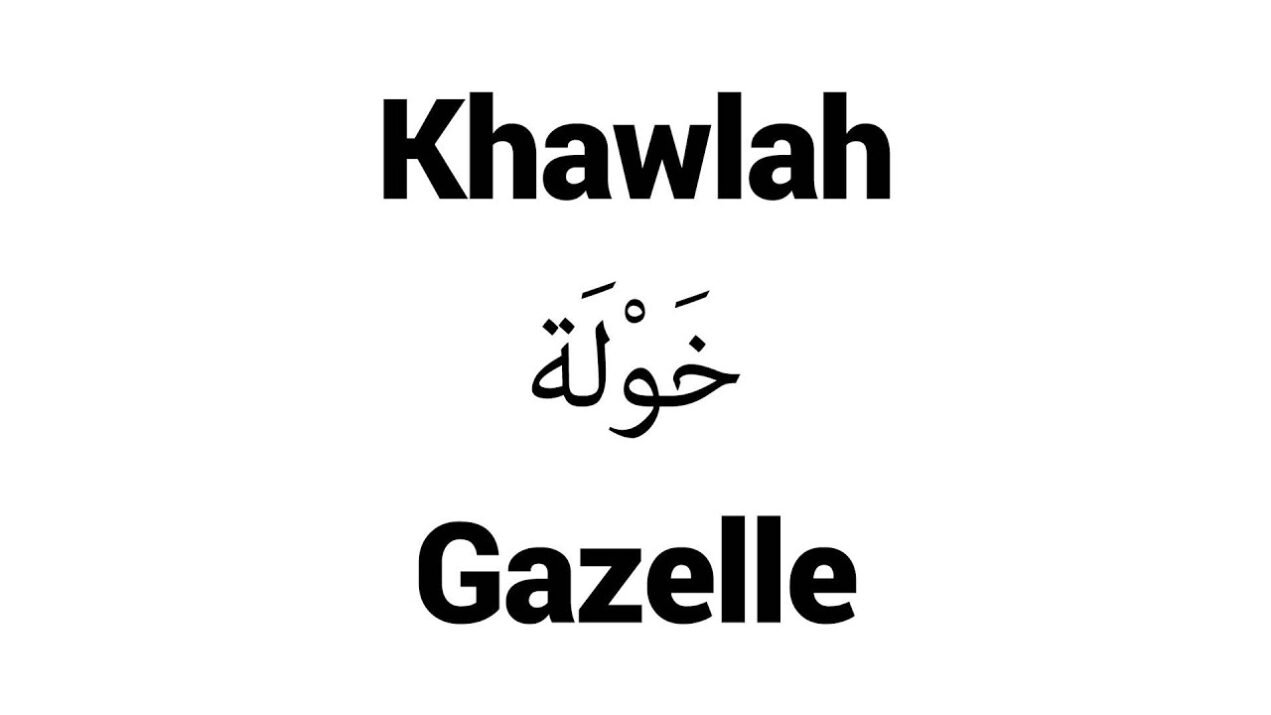 دلع اسم خوله ،القالب اسم خولة