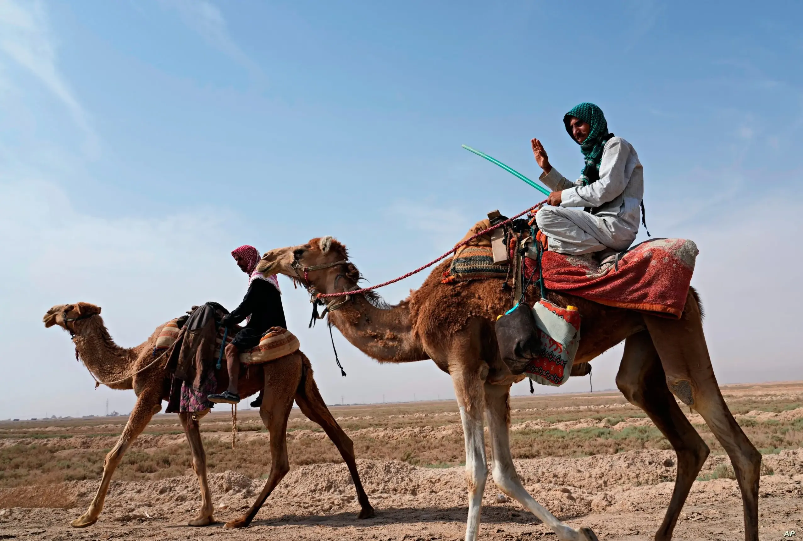 المعيدي وش يرجع، أصل عائلة المعيدي من اي بلد