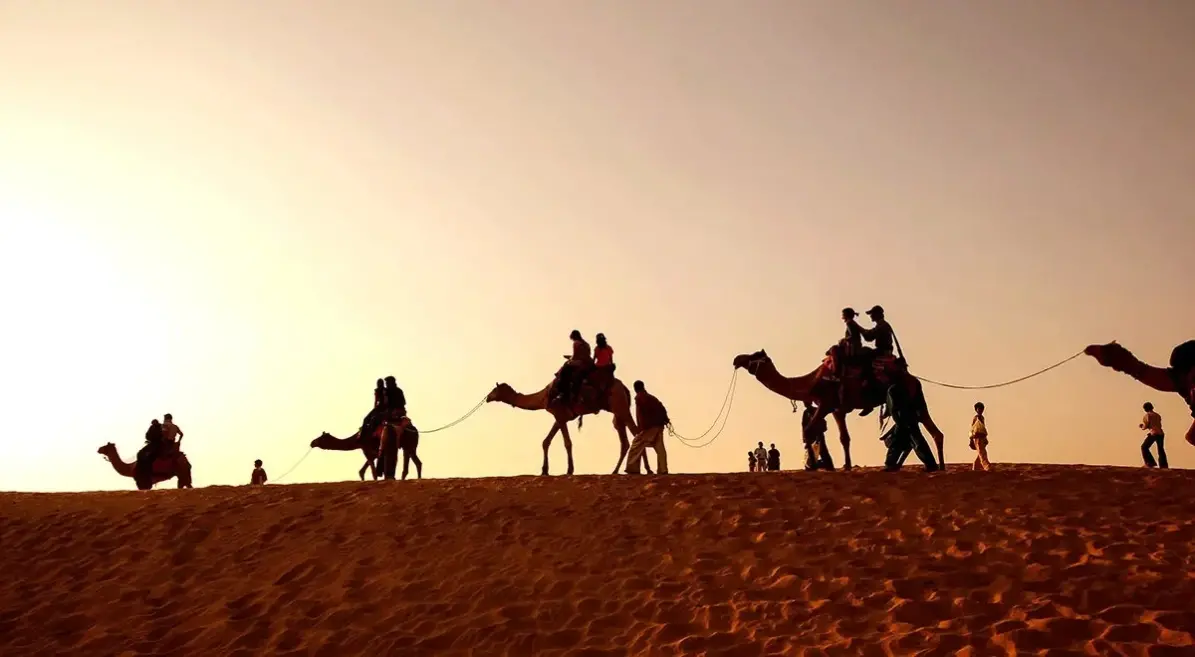 الرويس وش يرجع وما أصلهم