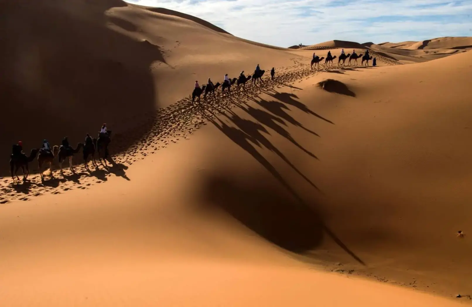 البقعاوي وش يرجع أصلهم من أي شمر البقعاوي وش يرجع أصلهم من أي شمر
