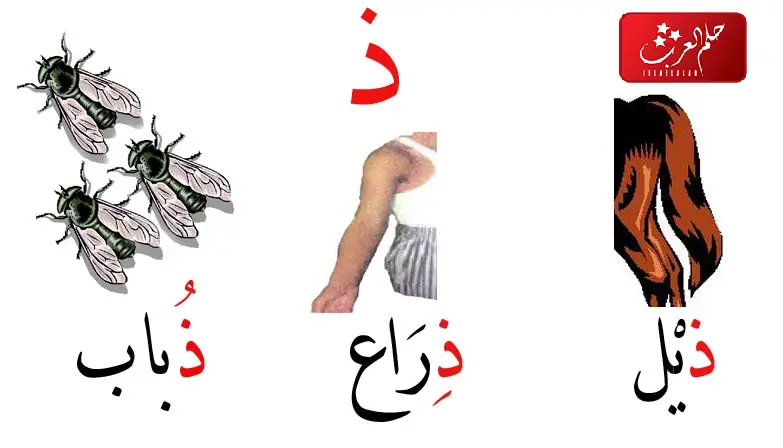 كلمات بحرف ذ & كلمات بحرف الذال بجميع الحركات