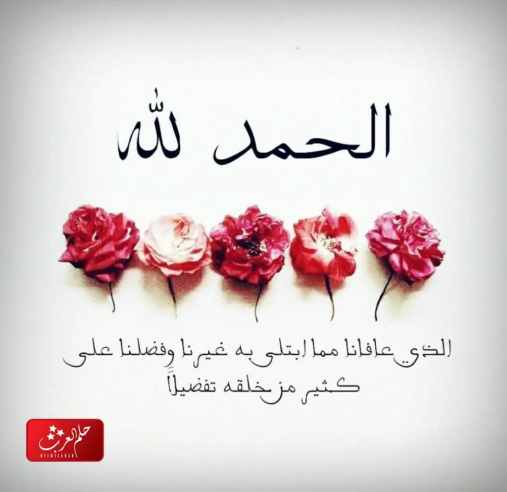 الرد على ماتشوف شر