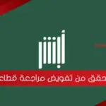 التحقق من تفويض مراجعة قطاع