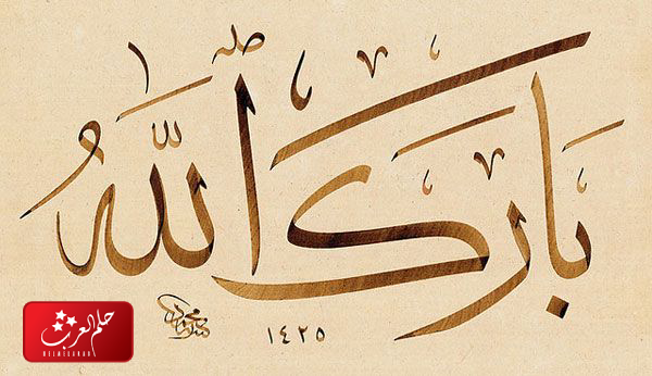 الرد على الله يبارك فيك