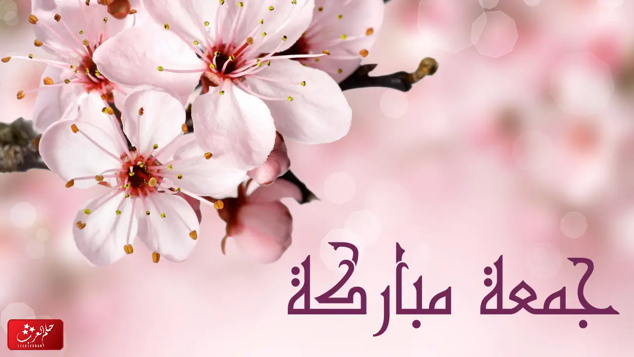 الرد على جمعة مباركة