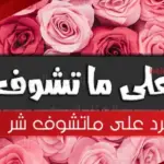 الرد على ماتشوف شر