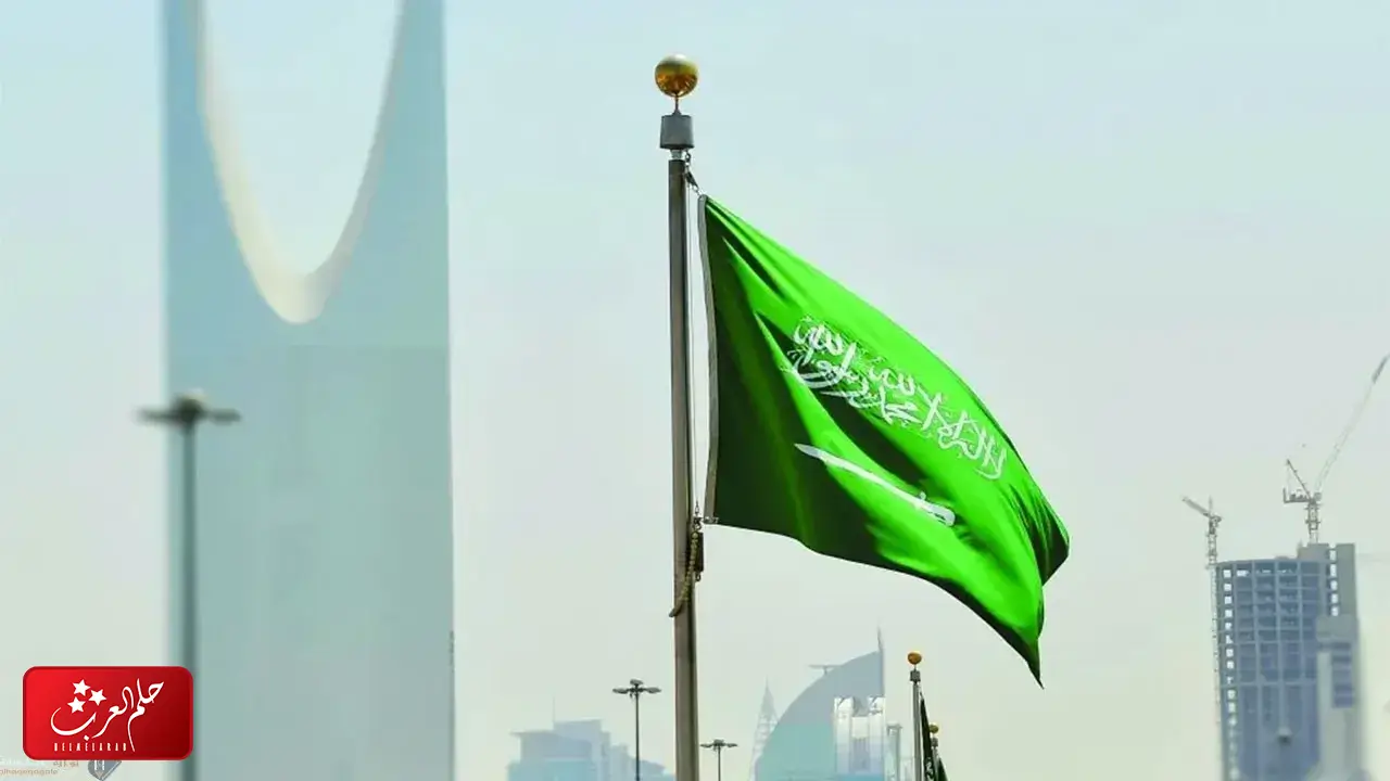 الرويس وش يرجع وما أصلهم