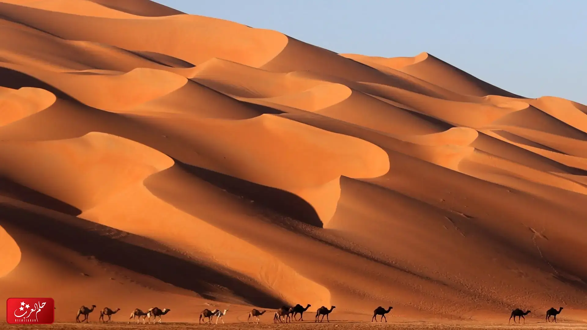 العلاوي وش يرجع ، اصل عائلة العلاوي من وين
