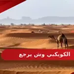 الكويكبي وش يرجع أصل عائلة الكويكبي