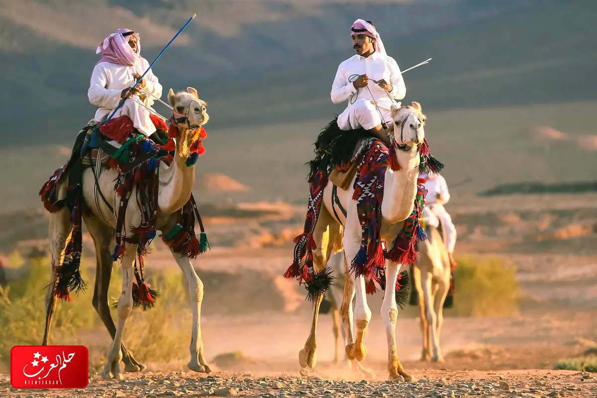 الناصر وش يرجعون .. نسب عائلة ال ناصر