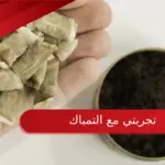 تجربتي مع التمباك وطرق الشفاء منه بدون صداع