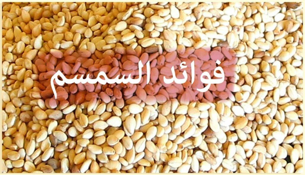 تجربتي مع السمسم لزيادة الوزن وكيفية استخدامه