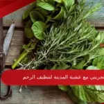 تجربتي مع عشبة المدينة لتنظيف الرحم