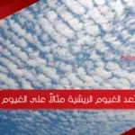 تعد الغيوم الريشية مثالاً على الغيوم