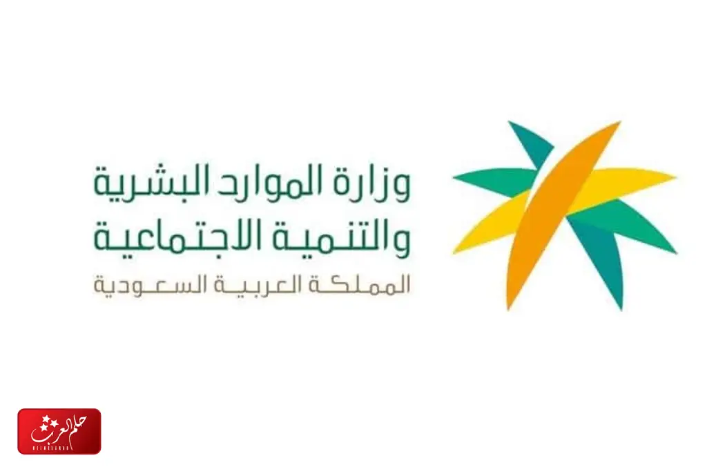 ماهي وظائف ساعد لخريجات الثانوي