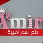 دلع اسم اميرة وأسرار شخصيتها