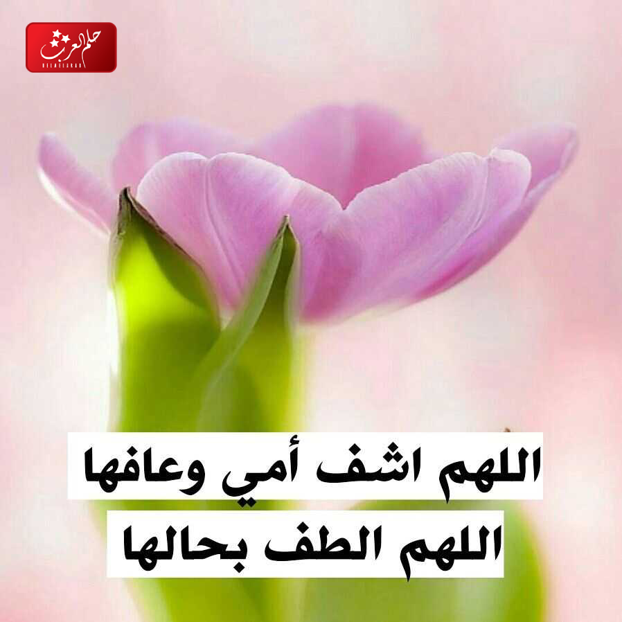 دعاء لشفاء الام بالصور .. أجمل ما قيل عن شفاء الأم المريضة