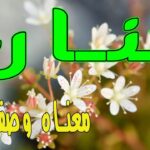 دلع اسم حنان واسرار شخصيتها