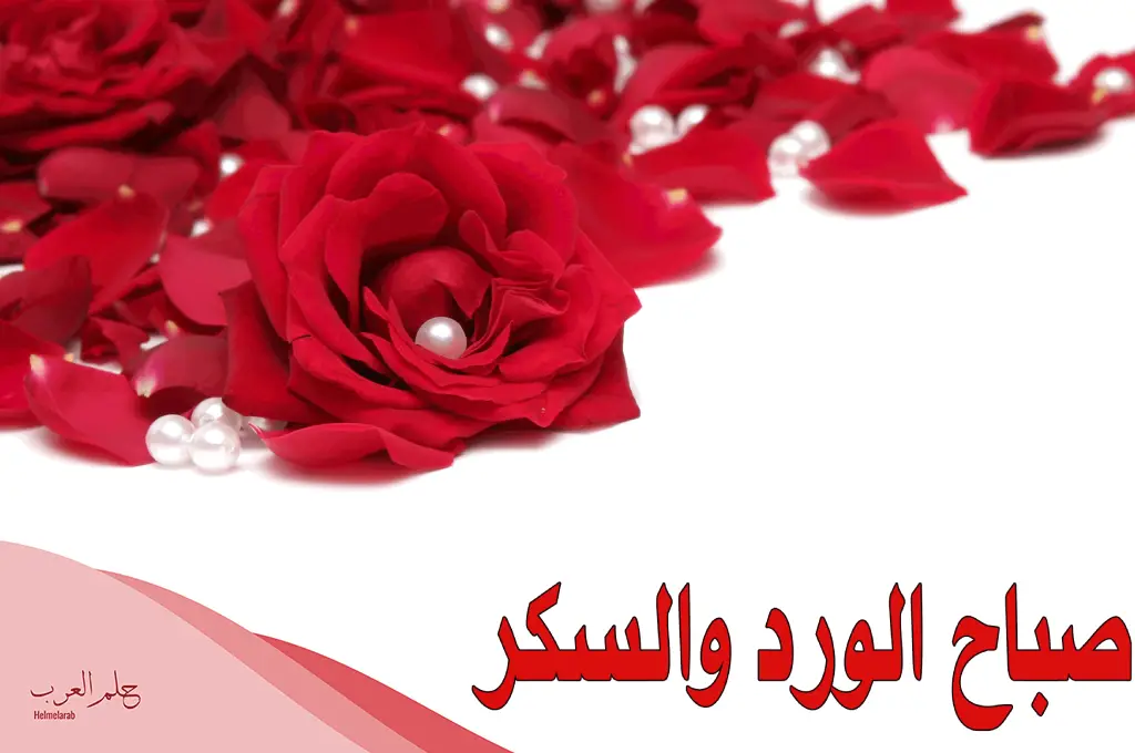 رسائل صباح الخير زوجتي ، أجمل ما قيل عن الحب للزوجة في الصباح