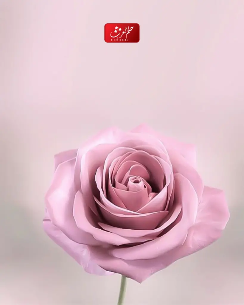 صور جميلة للكتابه عليها 2023