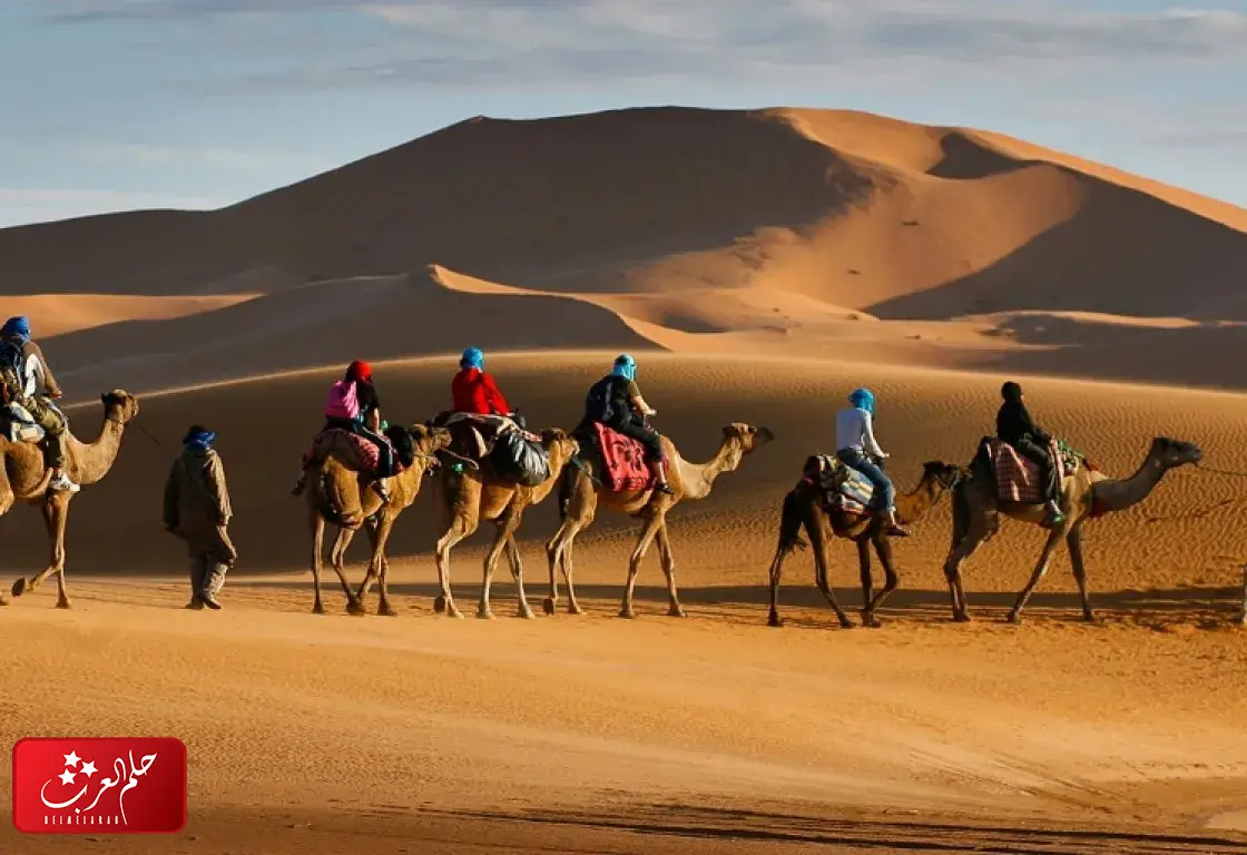 عائلة الفهيد وش يرجعون، اصل قبيلة الفهيد من وين