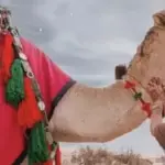عبارات عن البدو قصيره .. شعر عن البدو قصير