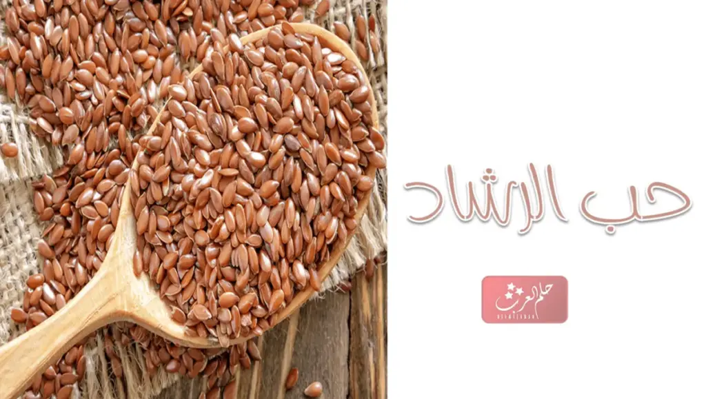 تجربتي مع حب الرشاد للعظام فوائده واضراره وطريقة تحضيره