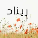معنى اسم ريناد في القرآن واسرار شخصيتها ودلع الإسم