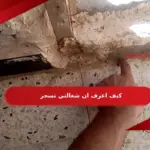 كيف اعرف ان شغالتي تسحر من ملامح الوجه