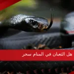 هل الثعبان في المنام سحر حسب كبار المفسرين؟