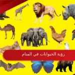 تفسير رؤية الحيوانات في المنام لابن سيرين وكبار المفسرين