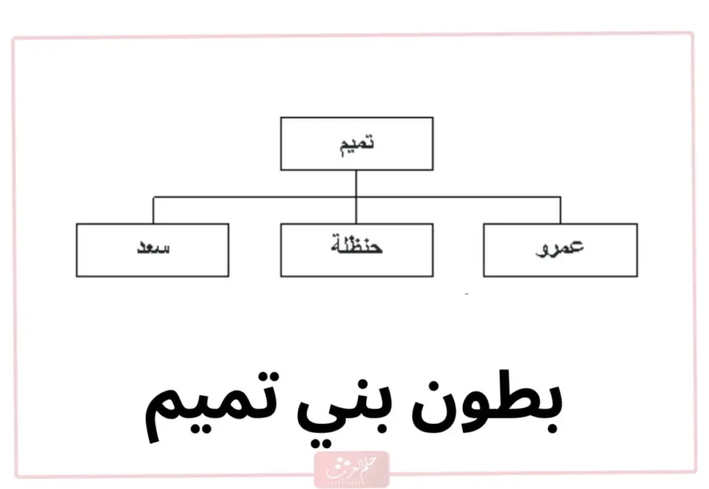 بني تميم وش يرجعون ، شجرة عائلة بني تميم